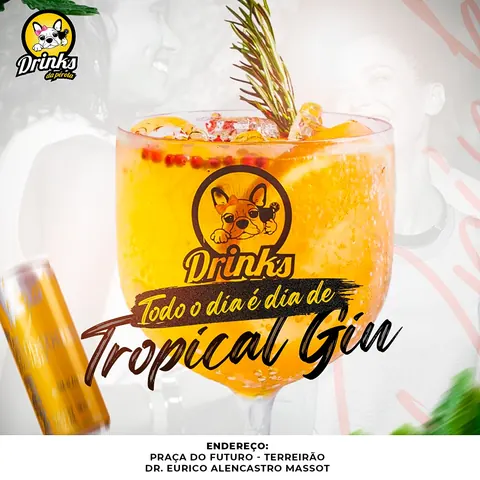 Drinks: taça de gin tropical e “Todo dia é dia de Tropical Gin”